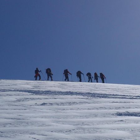 Alpenferienwohnung Strickner Neustift im Stubaital Kültér fotó