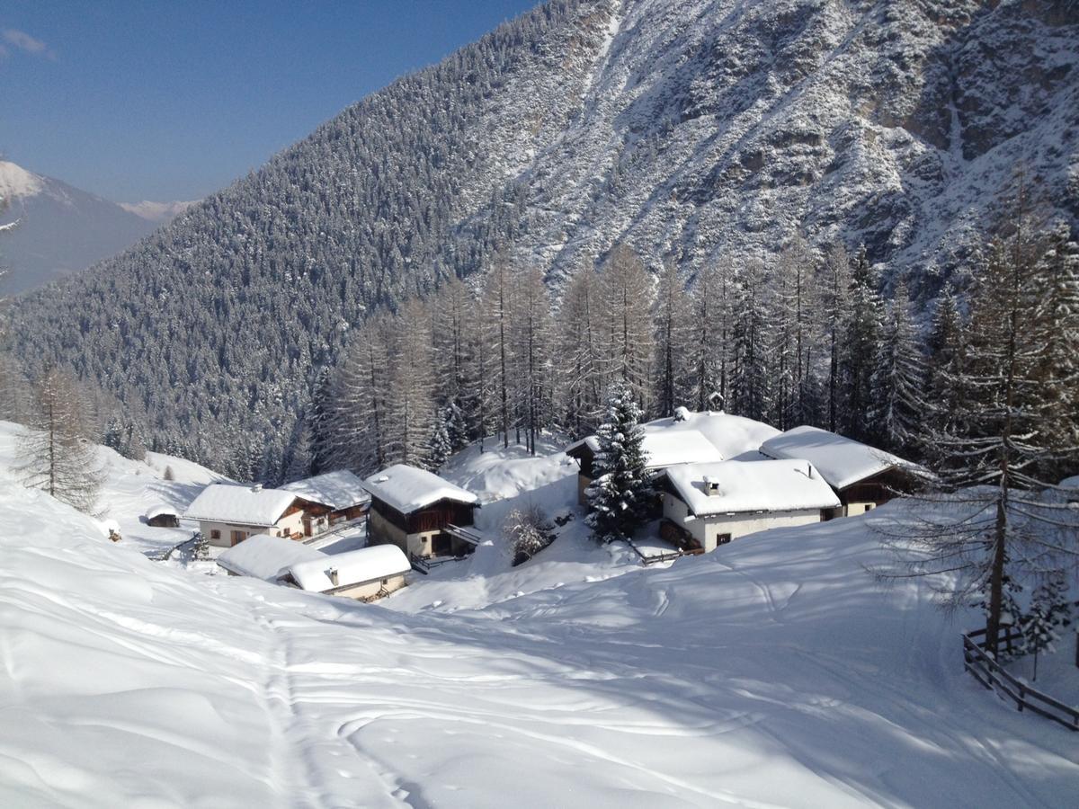 Alpenferienwohnung Strickner Neustift im Stubaital Kültér fotó