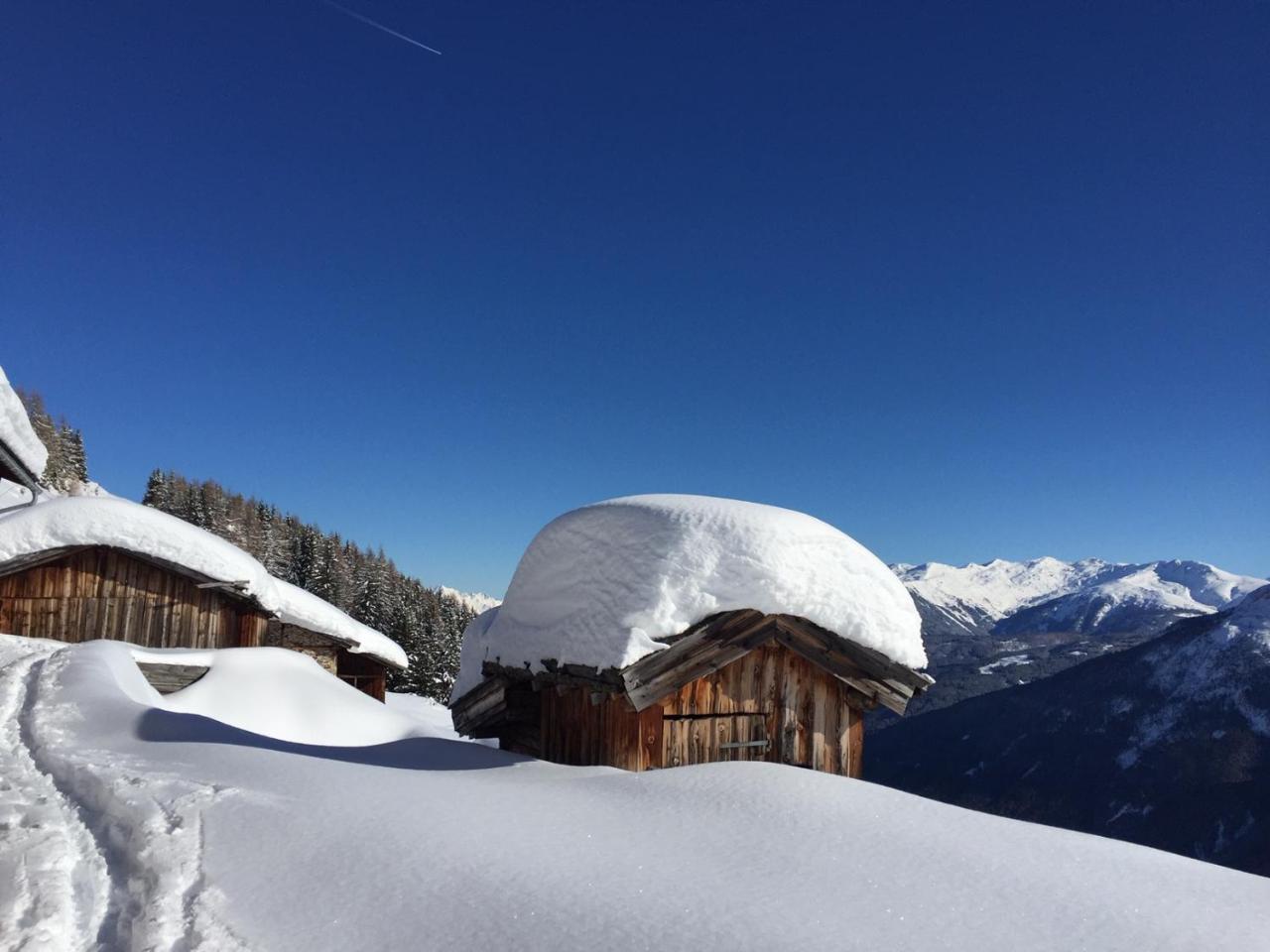 Alpenferienwohnung Strickner Neustift im Stubaital Kültér fotó